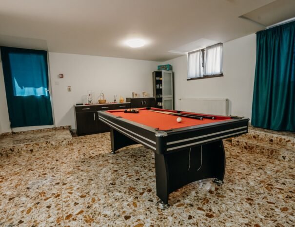 Casa Danei - Brașov - biliard