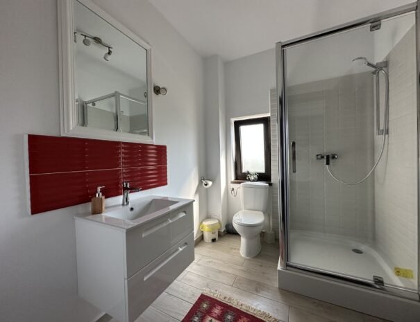 Casa Danei - Brașov - camera 1 - baie