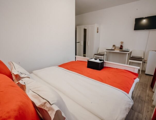 Casa Danei - Brașov - camera 1 - living