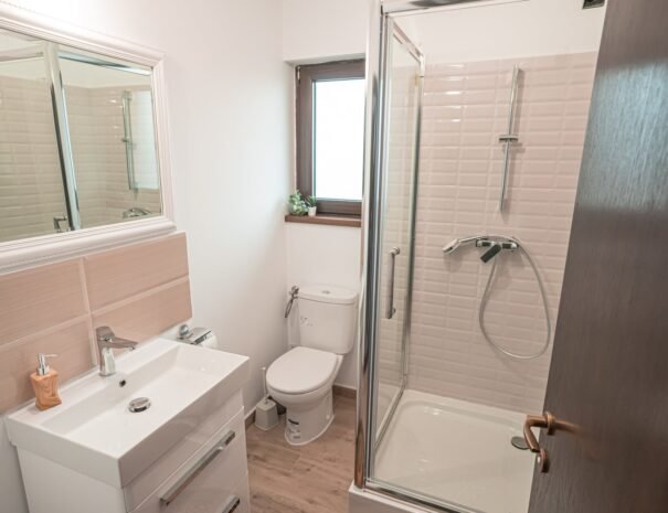 Casa Danei - Brașov - camera 2 - baie