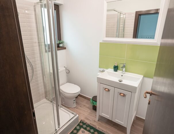 Casa Danei - Brașov - camera 4 - baie