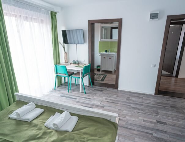 Casa Danei - Brașov - camera 4 - living