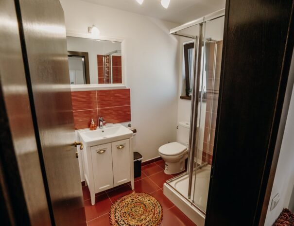 Casa Danei - Brașov - Camera matrimonială - baie