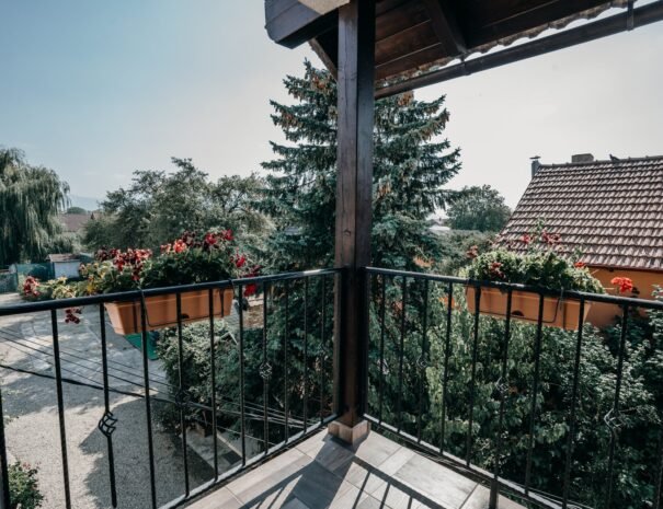 Casa Danei - Brașov - Camera matrimonială - vedere de pe terasă