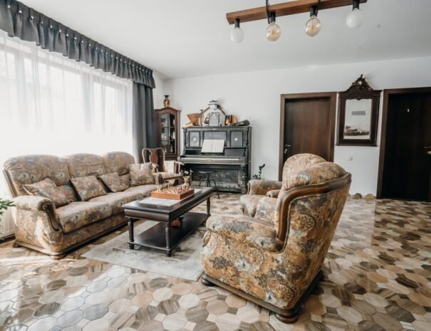Casa Danei - Brașov - salon