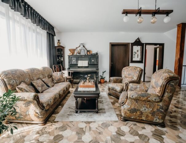 Casa Danei - Brașov - salon