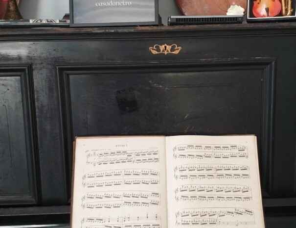 Casa Danei - Brașov - pian