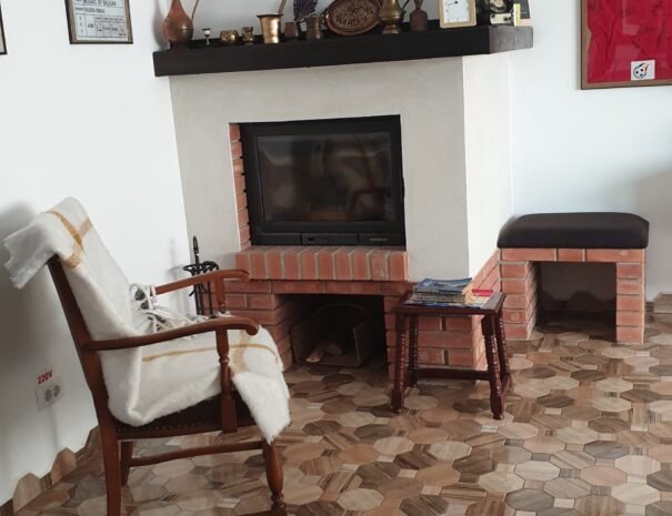 Casa Danei - Brașov - șemineu