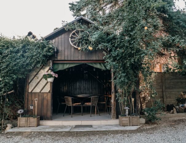 Casa Danei - Brașov - terasă și grătar