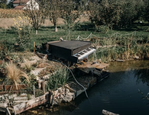 Casa Danei - Brașov - Iaz