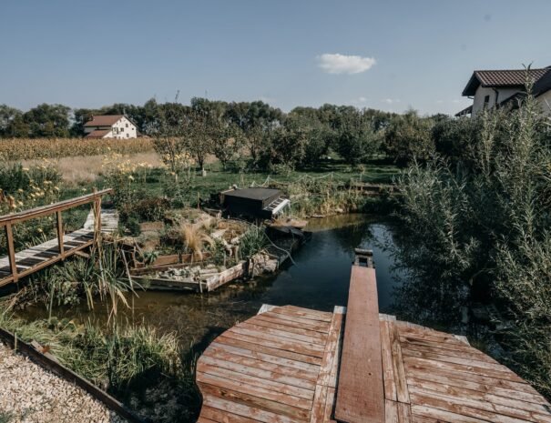 Casa Danei - Brașov - Iaz cu pești